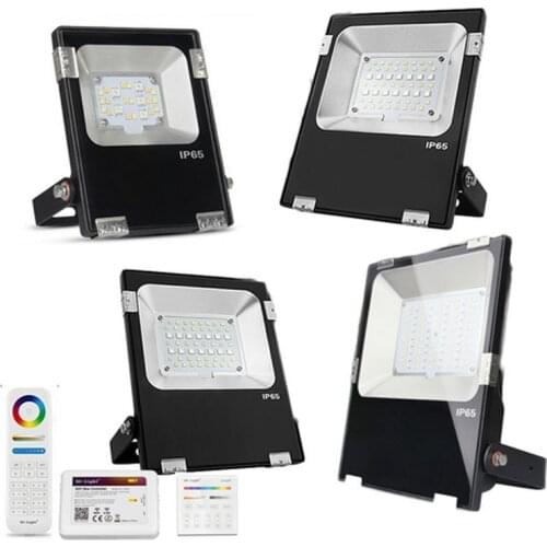 Viktorovna LED Floodlights