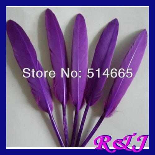 Wholesale geese feather 500pcs/lot PURPLE dyed goose Feather For Party Performance approx 4-6 inches 10-15cm