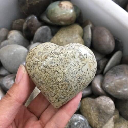 Dinosaur Bone Fossil Heart Natural Fossil Stone Smooth Polished Pebble Reiki Healing Chakra Stone Home Decoration