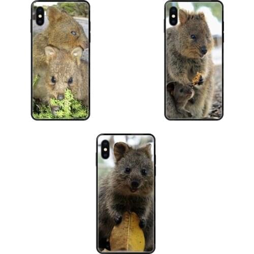 Wdlsre Phone Cases Huawei Y5 Lite