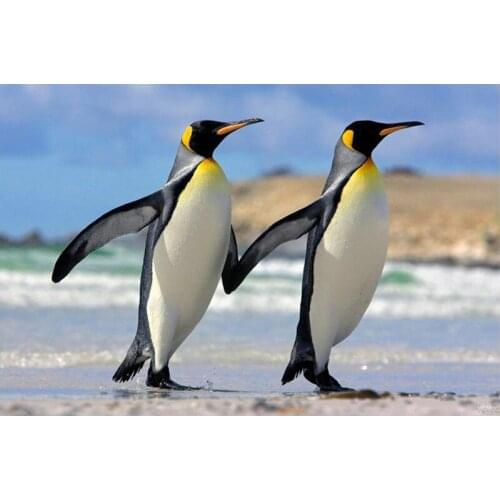 YIKEE diamond painting penguin,cross stitch diamond,diamond mosaic paintings Y1739