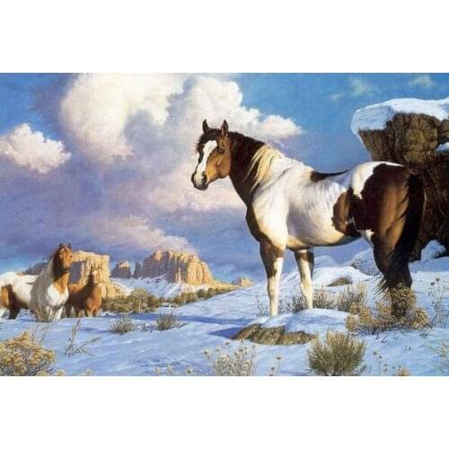 HIGH QUALITY HAND PAINTED ANIMAL OIL PAINTING ON CANVAS : "HORSE" 1698