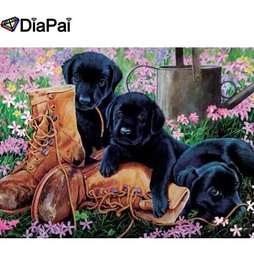 DIAPAI 5D DIY Diamond Painting 100% Full Square/Round Drill "Animal dog shoes" Diamond Embroidery Cross Stitch 3D Decor A21488