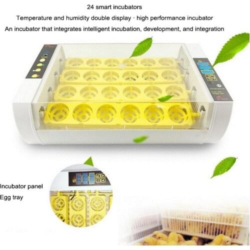 Temperature Control Digital Automatic Chicken Chick Hatcher Egg Incubator Hatcher Chicken Egg Incubator 220V 24 Egg Incubator