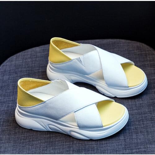 Thick-soled Sandals Women 2021 New Outer Wear Non-slip Breathable Roman Shoes Mid-heel Fairy Style Net Red Cross Ins Tide