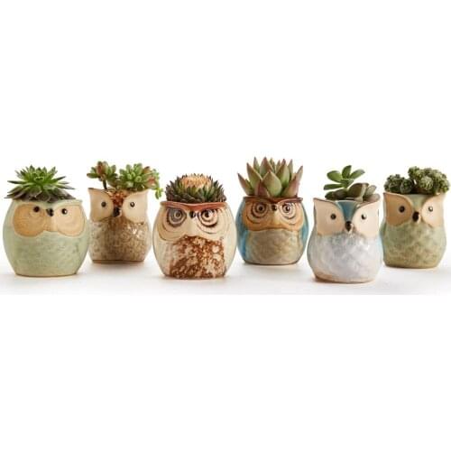 6 pieces beautiful ceramic mini pot desk planters for succulent plant bonsai