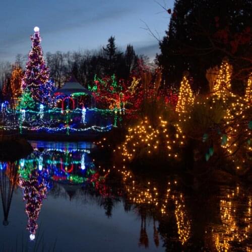 30/50 LED Ball Solar Party Fairy Outdoor String Lights For Patio & Garden Sun Lamp Holder Serial Lamp Trees Decorative Lights