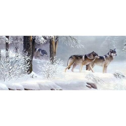 DIY snow 5d Diamond Embroidery,square&round Diamond Ocean Snow Wolf Full rhinestone 5D Diamond painting cross stitch,needlework