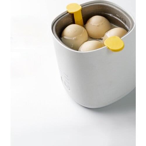 Zq Mini Multi-Functional Egg Boiler Egg Steamer Household Automatic Power off Small