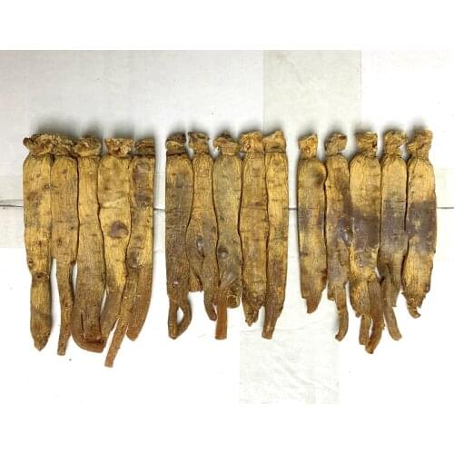 5 pcs yellow skin six years Changbai Mountain sugar-free red ginseng 75g