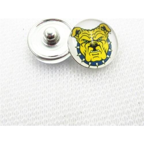 10pcs US North Carolina A&T Aggies Snap Buttons Glass 18mm Ginger Sports buttons Diy Snaps Jewelry Bracelet&bangles Charms