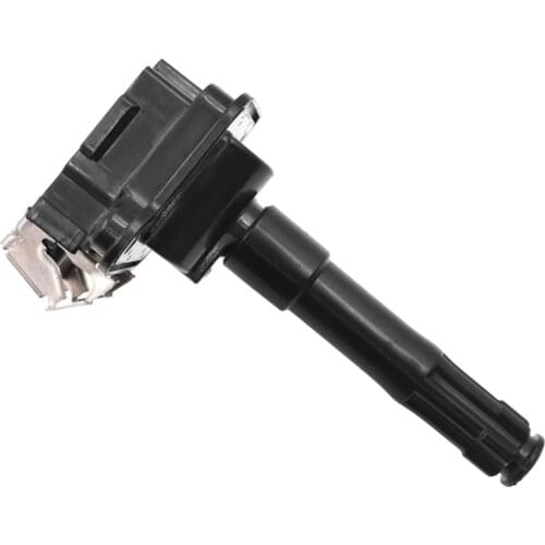 CAR IGNITION COIL FOR AUDI A3 A4 A6 FOR VW BORA GOLF PASSAT FOR SKODA OCTAVIA FOR SEAT 1.8T 2.7T (1994-2010) 058905105 058905101