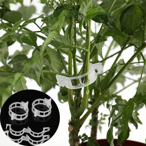 Vegetable Tomato Plant Vine Clip Supports Connects Reusable Protection Grafting Fixing Tool Gardening Supplies Garden Ornament