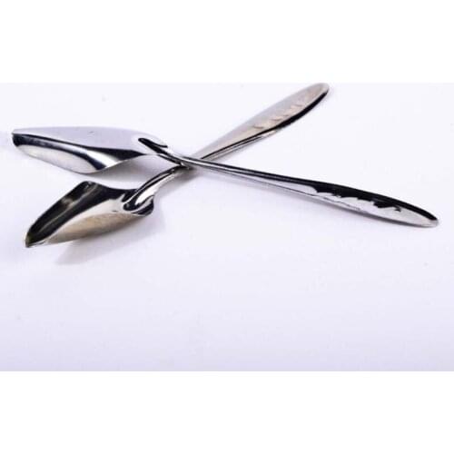 5 Pcs Baby Bird Pointed Feeding Spoon Stainless Steel Milk Medicine Parrot Feeder for All Baby Bird Peony Cockatiel