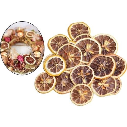 Mixed Dried Lemon Slice Pressed Dried Flower DIY Phone Case Resin Pendant Crafts Card Making