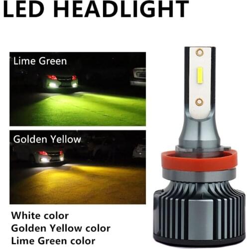 Lesuda H8 LED Bulbs (PGJ19-1)
