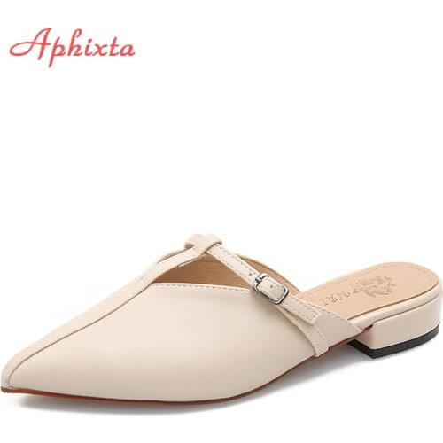 Aphixta Fashion Women Slides Pointed Toe Summer Shoes Square Heels Brown Beige Slipper Women Shoes Mules Outdoor Zapatos Mujer