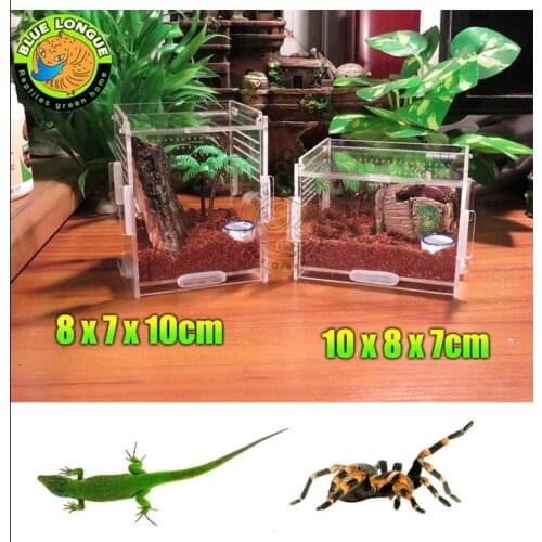 Acrylic Pet Cage reptile box, Crystal Herp terrarium Small Large Size S/L mosquera acrylic pet feeding scorpion scollops pet box