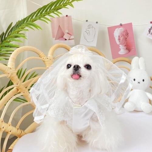 Lace Bowknot Dress Pet Wedding Spring Summer Autumn Winter Pet VIP Teddy Puppy White Wedding Veil Set