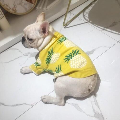 [MPK Dog Sweaters] The New Yellow Pineapple Sweater, 4 Sizes Available, For French Bulldogs, Pugs