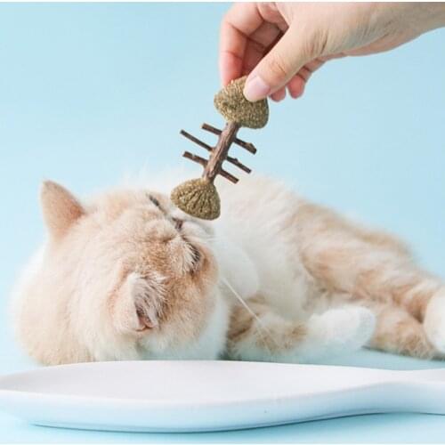 1pcs Natural Catnip Pet Cat Toy Safety Molar Toothpaste Fish Mouse Fish Bone Cleaning Teeth Cat Snacks Sticks Pet Supplies