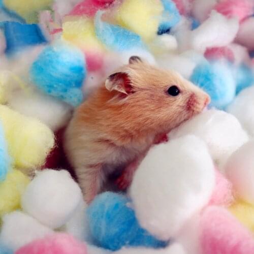 100Pcs/Bag Colorful Winter Keep Warm Cotton Ball Cute Cage House Filler Supply for Hamster Rat Mouse Small Animals Supplies