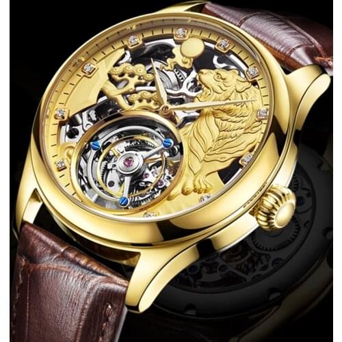 Aesop Automatic Luxury Mechanical Watch Real Tourbillon Watch Men Sapphire Glass Stainless Steel Waterproof Relogio Masculino