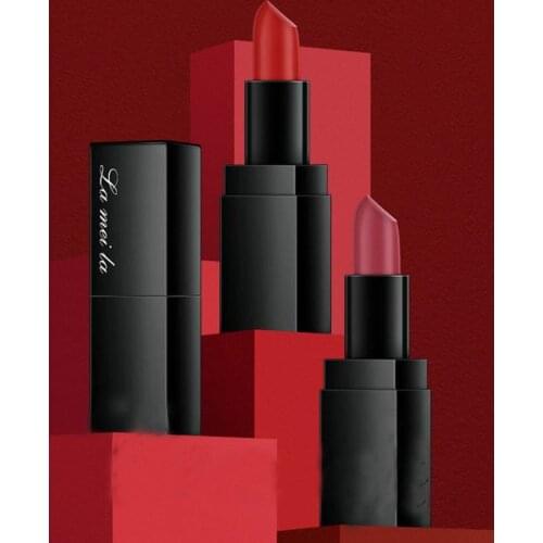 Waterproof Lipstick Matte Pumpkin 12 Color Lipstick Moisturizing Water-Resistant Profissional Lipstick Maquillaj Beauty Gift KH4