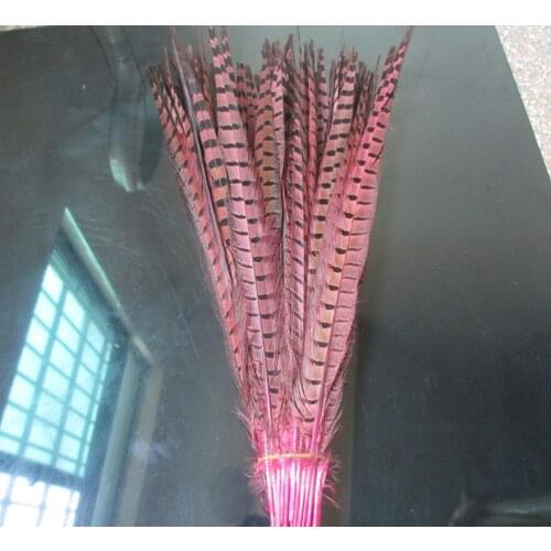 Wholesale 200 / lot beautiful pink pheasant feathers 20-22 inches / 50-55 cm free shipping