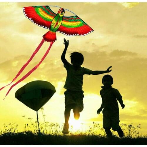 Rainbow Color Parrot Kite With String Plastic Handle Family Fun Outdoor Toys Kites High Flying For Children Kids Sports