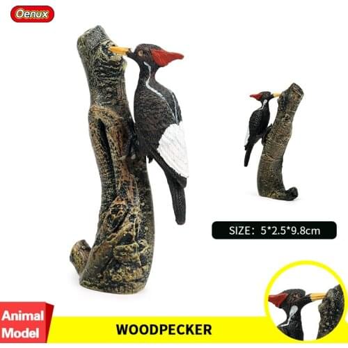 Oenux Classic Bird Woodpecker Simulation Animals Picidae Model Action Figure Figurines PVC Miniature Garden Decoration Kid Toy