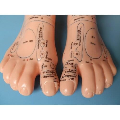 19cm Foot reflex zone massage model, not acupuncture model, Chinese and English code TCM Feet Reflexology, 1 pair