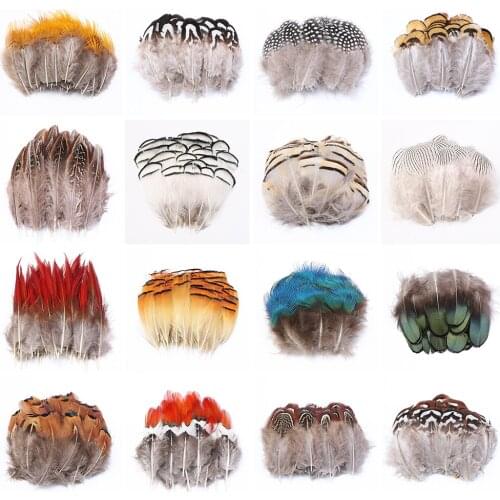 Wholesale Natural Ostrich Plumes Pheasant Feathers Pheasant Feather for Crafts carnaval assesoires Decoration