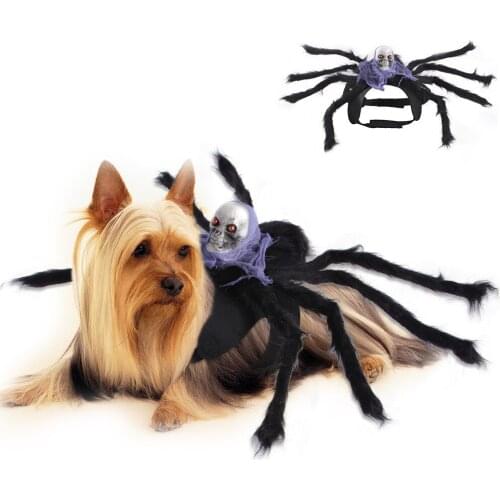 Pet Spider Cosplay Harness Creative Cat Dog Funny Holiday Clothes for Black Halloween Night Bloody Zombie Party Easter Gift