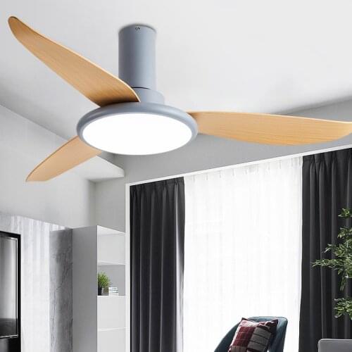 Modern Ceiling Fan with Led Light remote control for Home Dining Living Room Bedroom Bladeless DC Frequence conversion Fashion