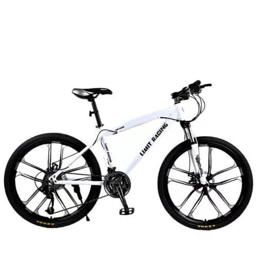 Fork Bicycle Adult Mountain Off Road Speed Road Sports Car Male and Female Students Lightweight Racing Youth Shock Absorber Bike