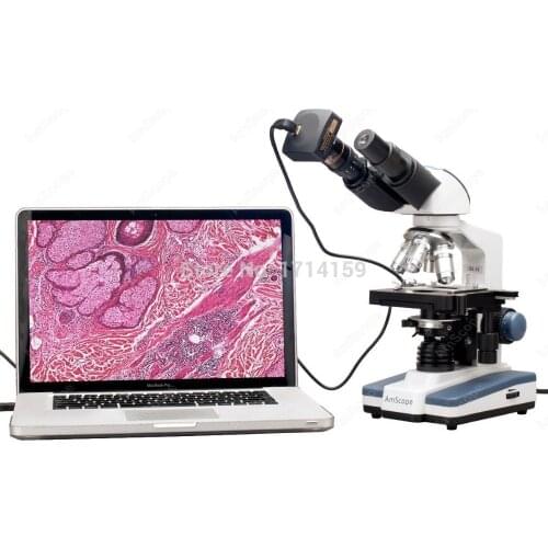 Teaching/Training-AmScope Supplies 40X-2000X LED Binocular Digital Compound Microscope w 3D Stage and 10MP Camera