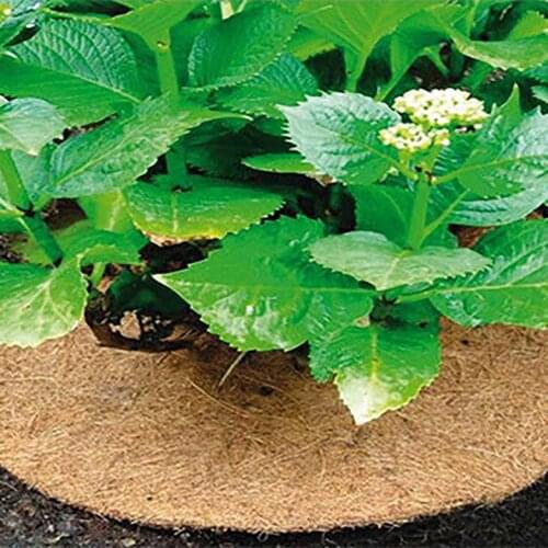 Plants Cover Potted Plants Winter Protection Coconut Mulch Cover Mulch Disc Plant Cover Coir Mat For Gardening