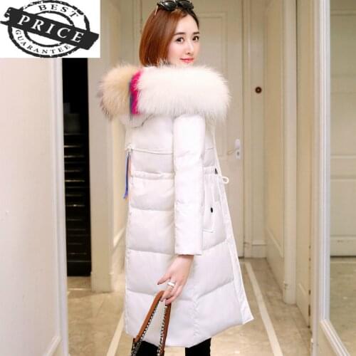Thick 20% White Duck Down Winter Jacket Women Winter Long Coat Female Large Real Raccoon Fur Hooded Warm Clothes LWL102a
