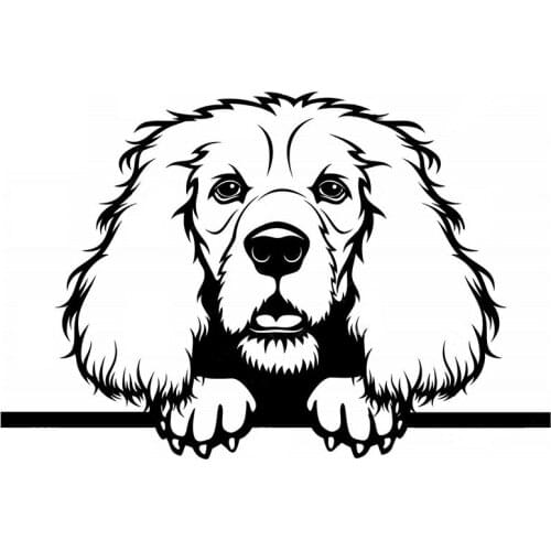 17*11.3cm COCKER SPANIEL PEEKING Car Stickers TRUCK VAN DOG WINDOW BUMPER VINYL DECAL STICKER
