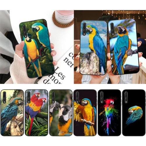 Zororong Lovely Parrot Phone Case For Xiaomi 9 10 11 PRO LITE Redmi NOTE 7 8 9 A PRO K20 30 PRO