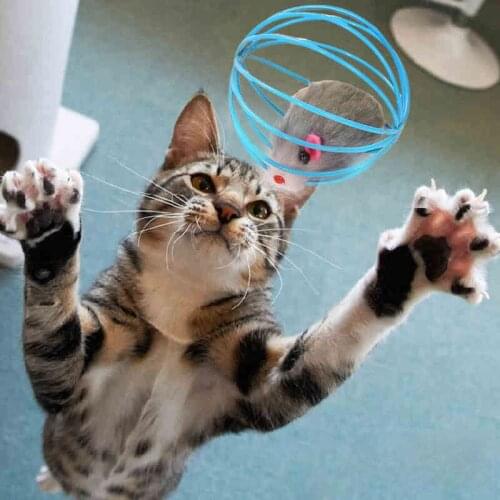 KAIQINMOMO Toys For Cats