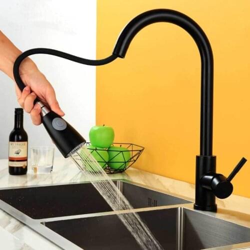 Black kitchen faucet kill brass faucet with sprinkler and simple mango
