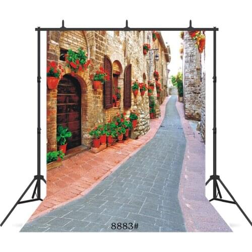 Vintage House Street Vinyl Photographic Background For Portrait Wedding Child Baby New Born Backdrop Studio Shoot Photocall