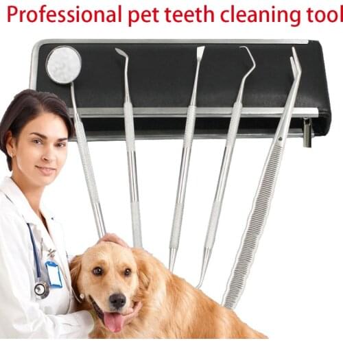 5 Pcs/set Pet Dog Cat Dental Tools Stainless Steel Teeth Cleaning Tools Kit For Plaque Calculus Tartar Remover Pet Products