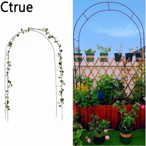 Ctrue Wedding Arches