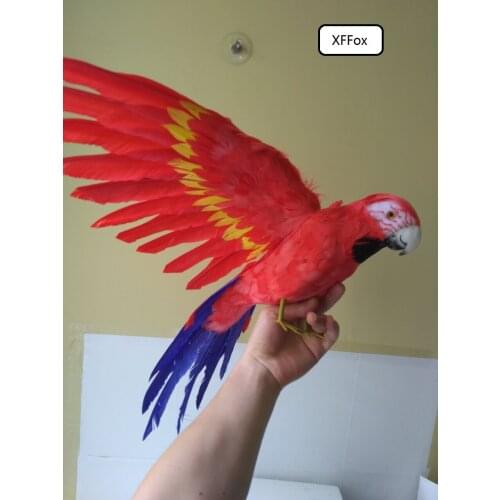 Big real life red parrot model foam&feather simulation wings parrot bird gift about 45x60cm xf0243