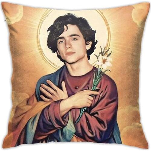 Uubik Timothee Chalamet Fashion Funny Retro Boy Pillowcase Square Soft Cushion with Hidden Zipper for Sofa Bedroom Home Decor