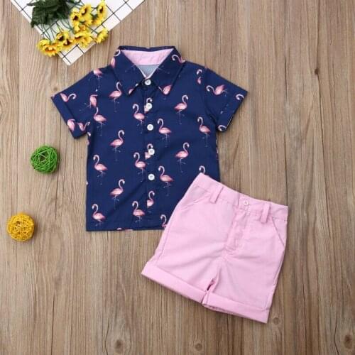 New Children Summer Clothing 2PCS Set Toddler Kid Baby Boy Flamingo Tops T-shirt+Shorts Pants Outfits Short Sleeve Clothes 1-6T