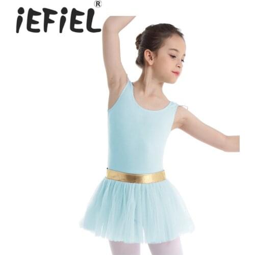 Cute Kids Girls Party Tulle Ballet Dance Wear Gymnastics Leotard Dancing Tutu Dress Ballerina Costume for Stage Performance